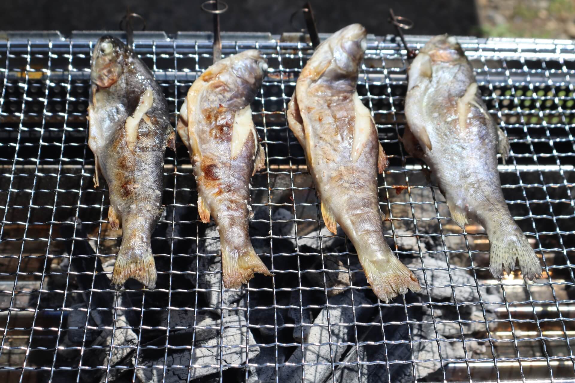 バーベキューの網で焼かれている鮎