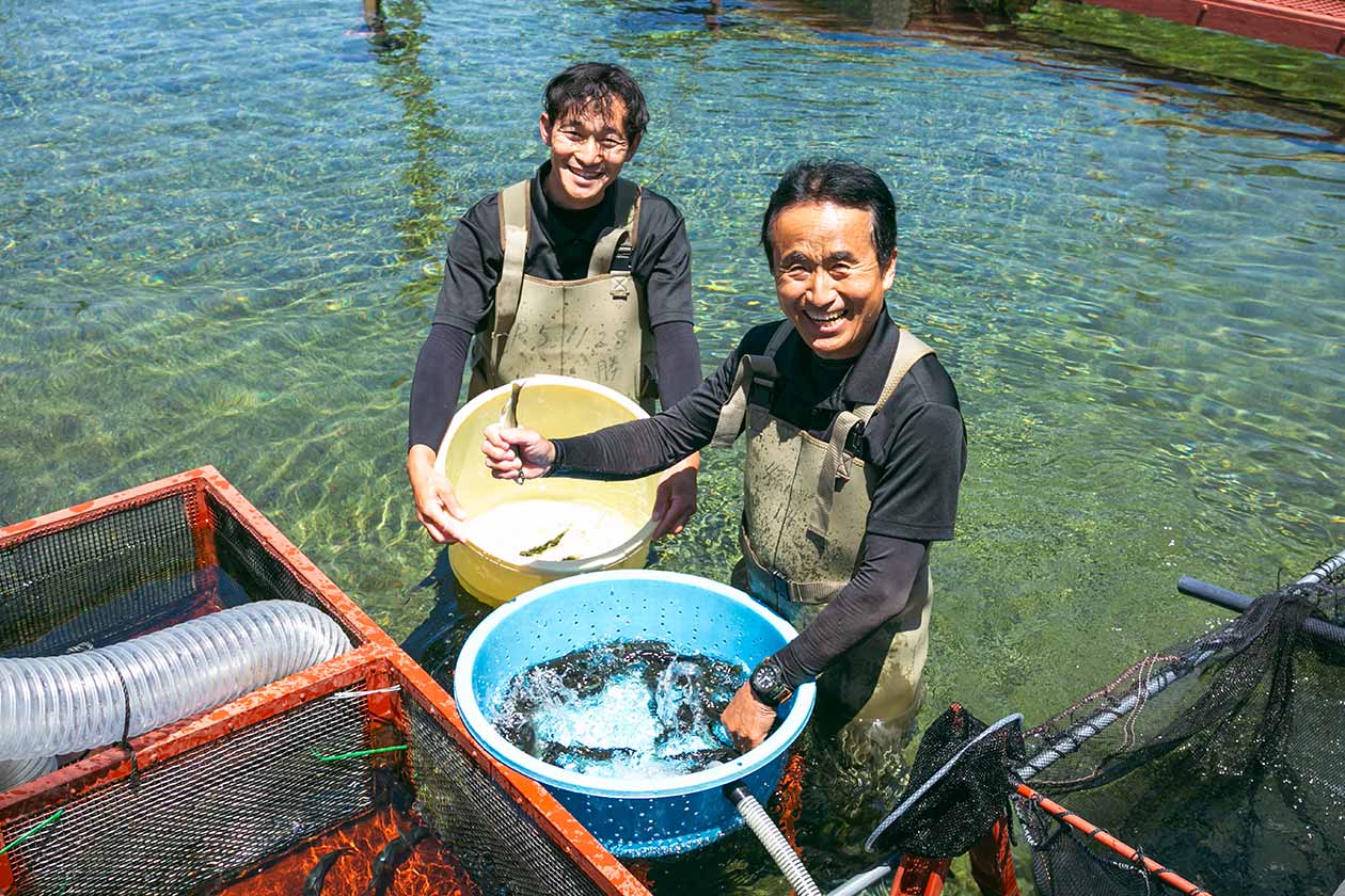 「美味しい鮎を育てる」ことに
こだわっています